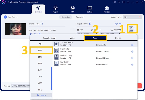 Choose Desired Audio Format