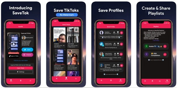 SaveTok Remove Tiktok Watermark