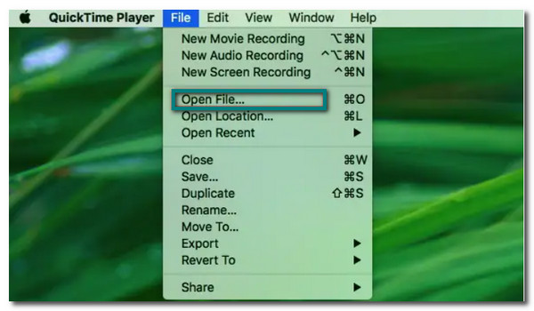 QuickTime เปิดไฟล์