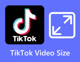 TikTok-Videogröße