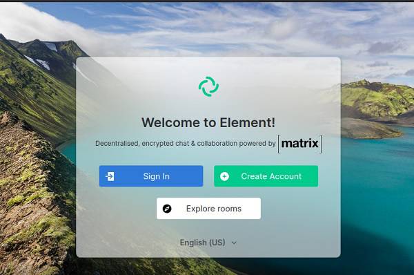 Videollamada gratuita de Element en línea