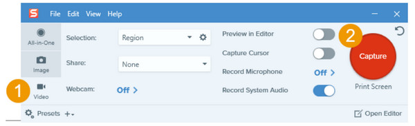 Snagit 视频选项卡录制网络研讨会