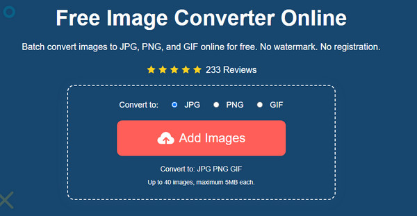 AnyRec Convert to Add Images