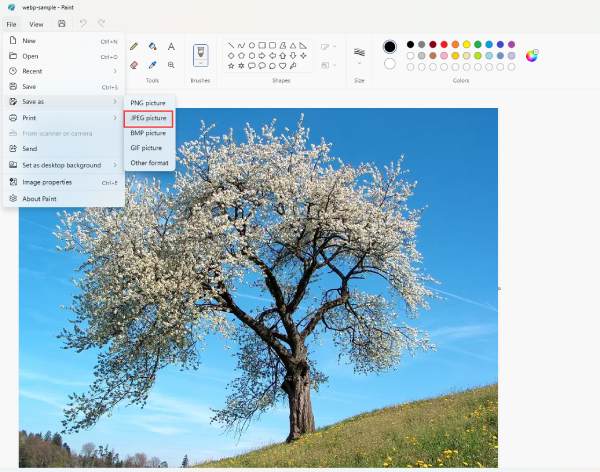 Paint Save WEBP as JPG Picture