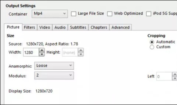 Vælg Output Format Handbrake