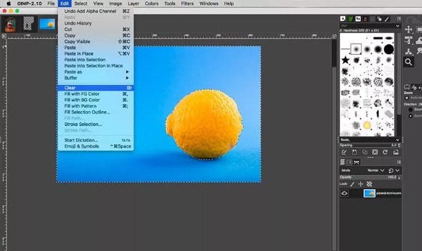 Rimuovi lo sfondo con lo strumento Seleziona per colore Gimp