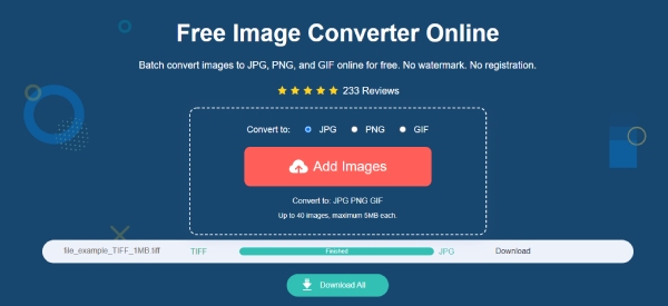 AnyRec Free Image Converter Online konvertáló TIFF