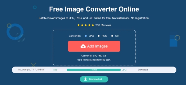 AnyRec Free Image Converter Conversión en línea TIFF