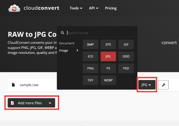 选择输出格式 Cloudconvert