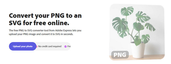 Adobe Express قم بتحميل صورتك