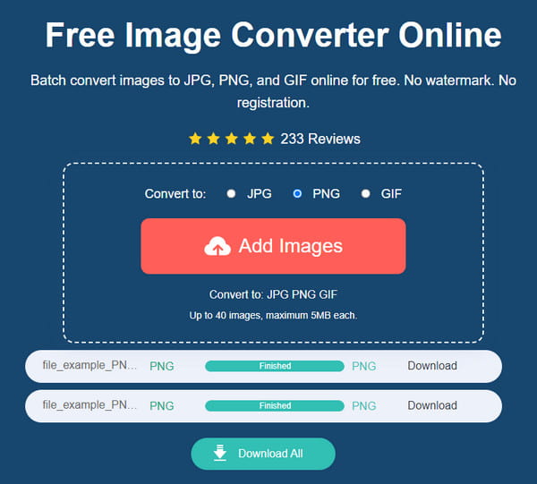 AnyRec قم بتنزيل جميع ملفات PNG إلى SVG