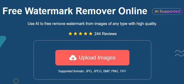 AnyRec Watermark Remover Upload