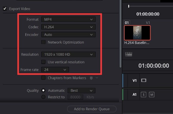 Choose Format and Adjust Settings Davinci