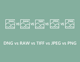 DNG vs RAW vs TIFF vs JPEG vs PNG s