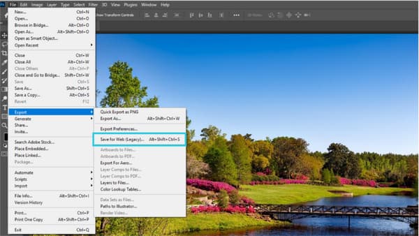 Salvataggio di Photoshop per il Web