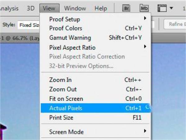 View Actual Pixel Photoshop