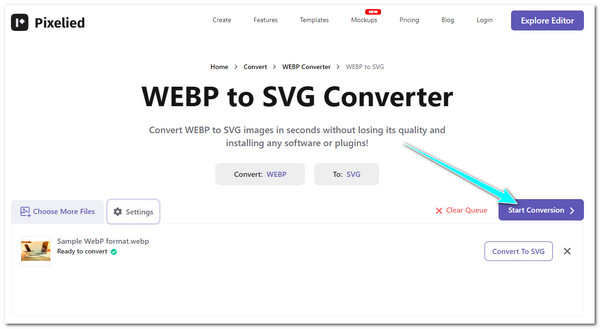 Click Start Conversion Then Tick Download