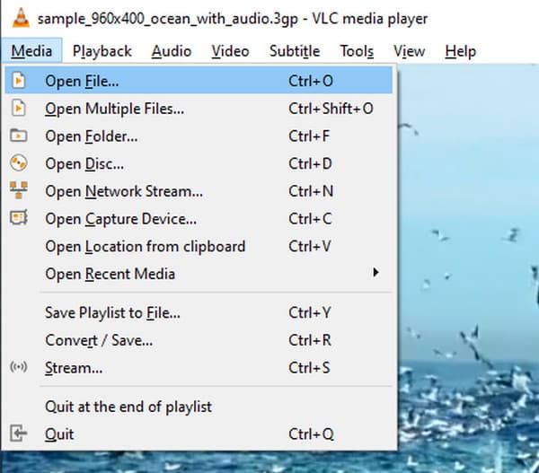 VLC Open File