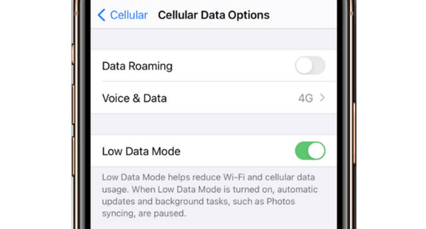 iOS Disable Data