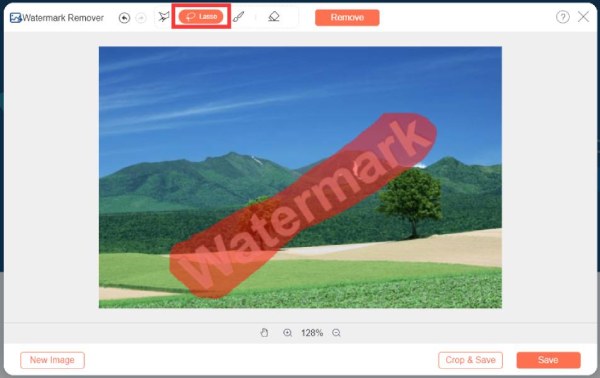 Select Region on Anyrec Free Watermark Remover