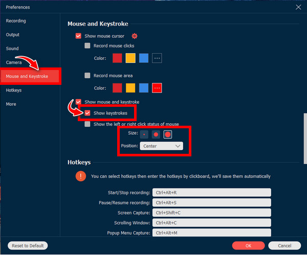 Anyrec Keystrokes