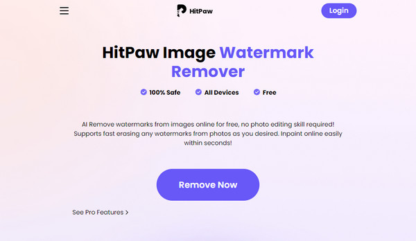 HitPaw iStock 워터마크 제거제