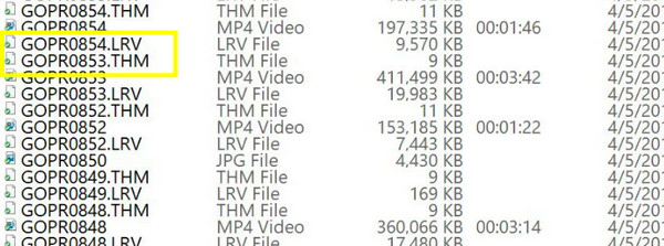 GoPro LRV THM ファイル