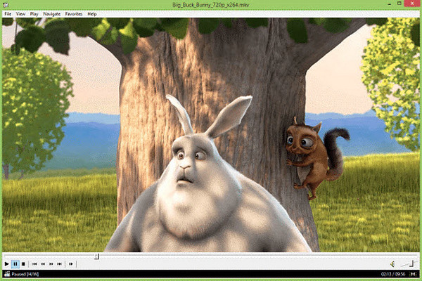 Media Player WEBM Player