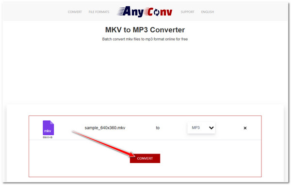 Converter AnyConv