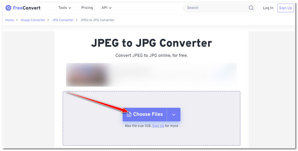 FreeConvert นำเข้า JPEG