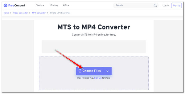 FreeConvert นำเข้า MTS