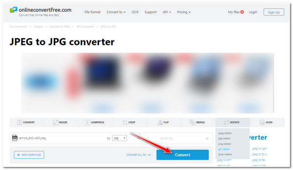 OnlineConvert-conversie