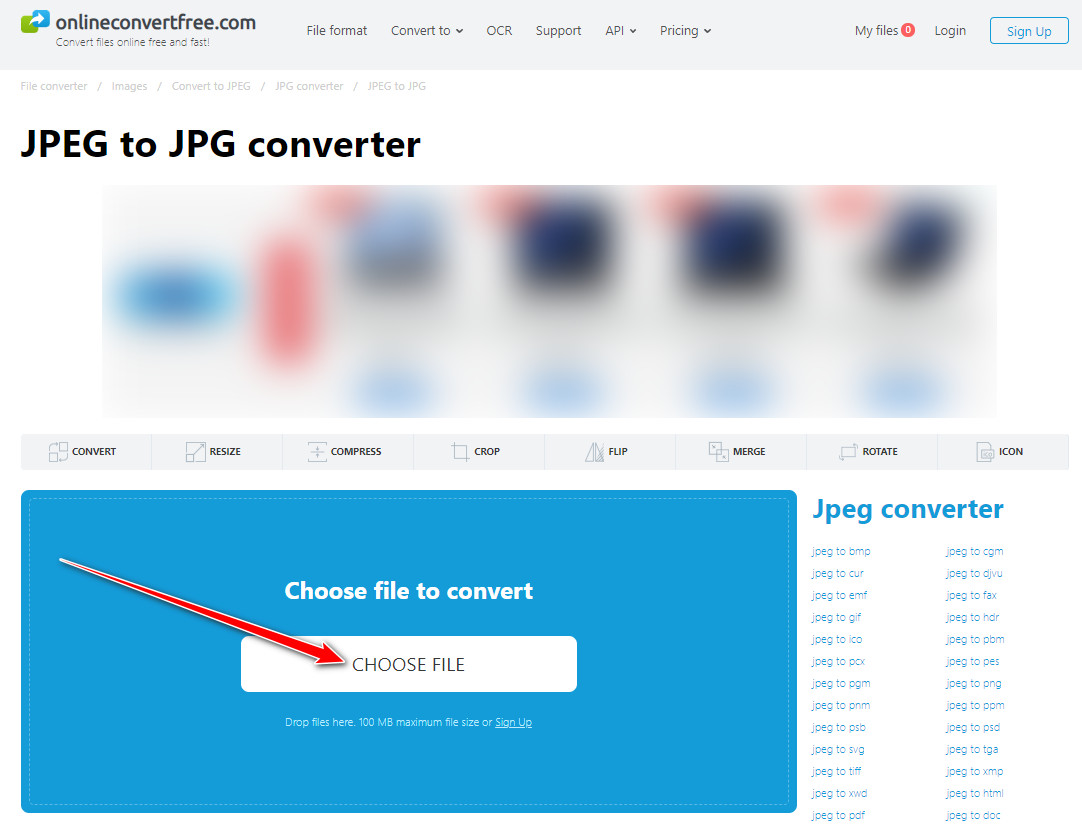 OnelineConvert นำเข้า JPEG