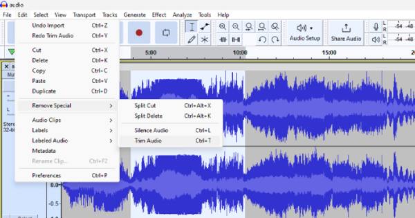 Audacity Trim Audio