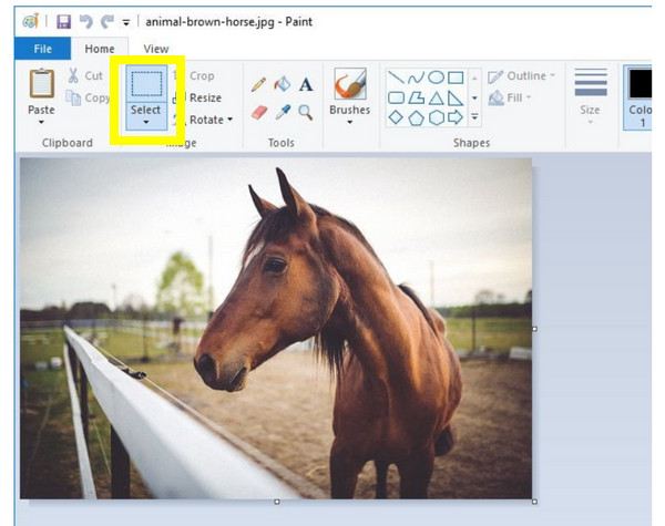 Usa Microsoft Paint