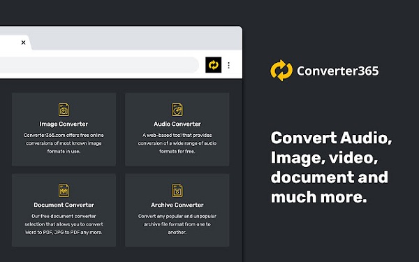 Convert356 Chrome Video Converter