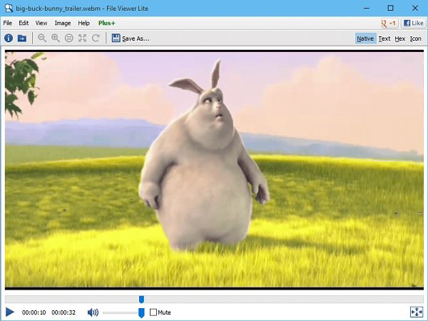 File Viewer Lite 播放 Webm 文件