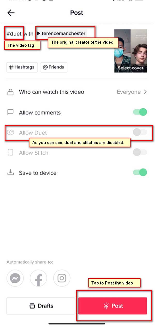 TikTok Duet Post